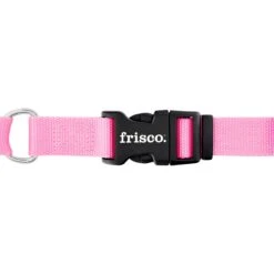 Frisco Solid Nylon Personalized Martingale Dog Collar 12 Frisco Solid Nylon Personalized Martingale Dog Collar -Frisco 249561 PT5. AC SS1800 V1628877460