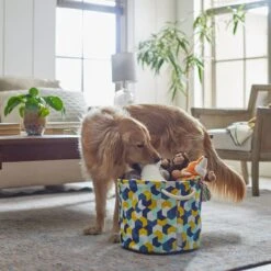 Frisco Round Collapsible Pet Toy Storage Bin, Yellow Geometric -Frisco 250587 PT3. AC SS1800 V1615572147