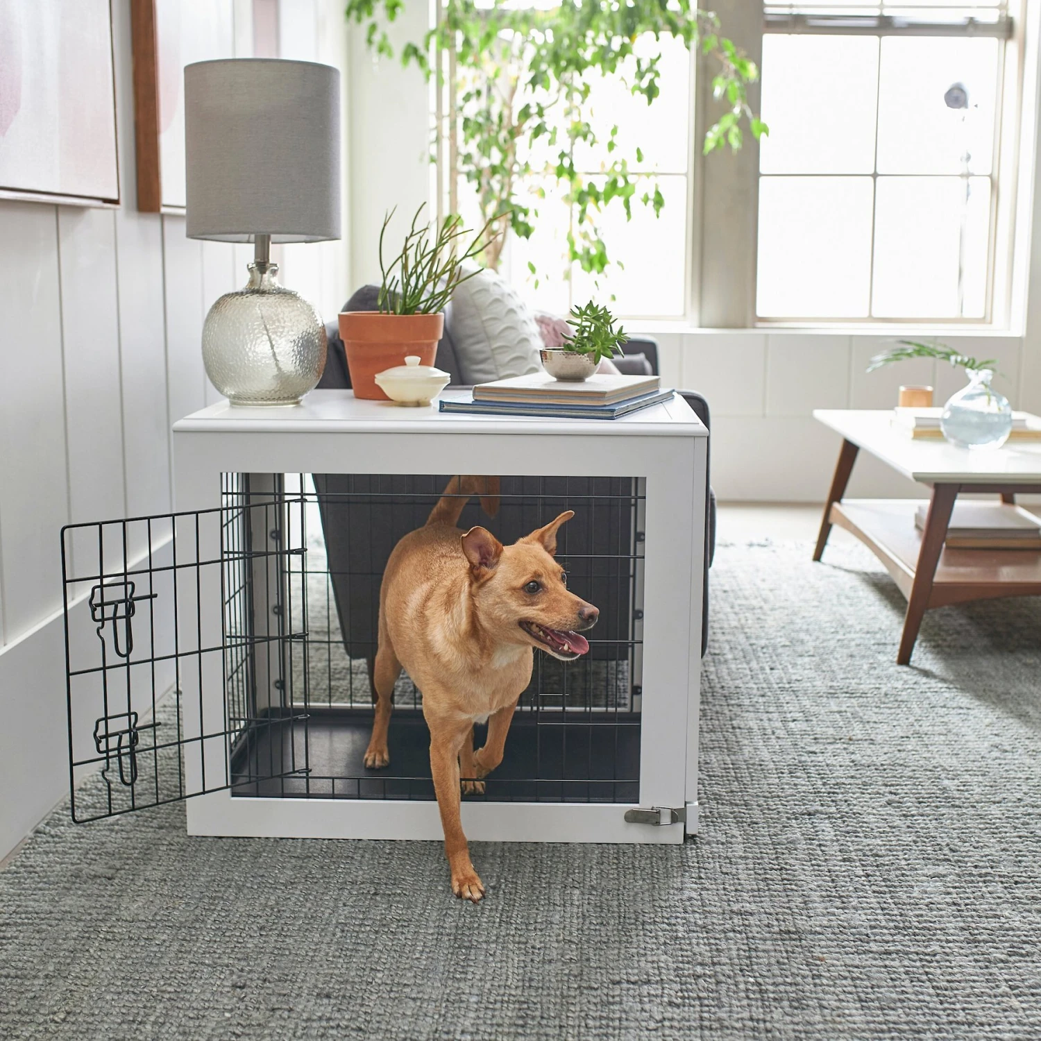 Frisco Double Door Furniture Style Dog Crate, White 1 Frisco Double Door Furniture Style Dog Crate, White