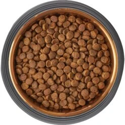 Frisco Matte Black Design Light Copper Stainless Steel Dog & Cat Bowl -Frisco 253051 PT5. AC SS1800 V1616526794