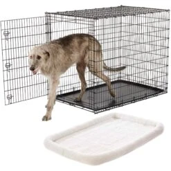 Frisco Heavy Duty Single Door Wire Dog Crate & Frisco Quilted Dog Crate Mat