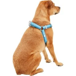 Frisco Outdoor Two Tone Waterproof Stinkproof PVC Dog Harness -Frisco 256580 PT3. AC SS1800 V1625164715
