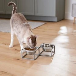 Frisco Elevated Diamond Stainless Steel Double Diner Dog & Cat Bowl 12 Frisco Elevated Diamond Stainless Steel Double Diner Dog & Cat Bowl -Frisco 257147 PT5. AC SS1800 V1615989105