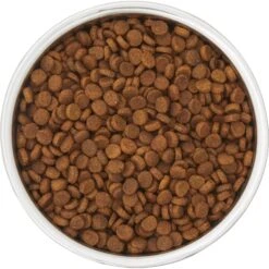 Frisco Insulated Two-Toned Non-Skid Stainless Steel Dog & Cat Bowl 11 Frisco Insulated Two-Toned Non-Skid Stainless Steel Dog & Cat Bowl -Frisco 257168 PT4. AC SS1800 V1612367255