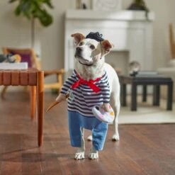 Frisco Front Walking French Artist Dog & Cat Costume -Frisco 260956 PT8. AC SS1800 V1689623916