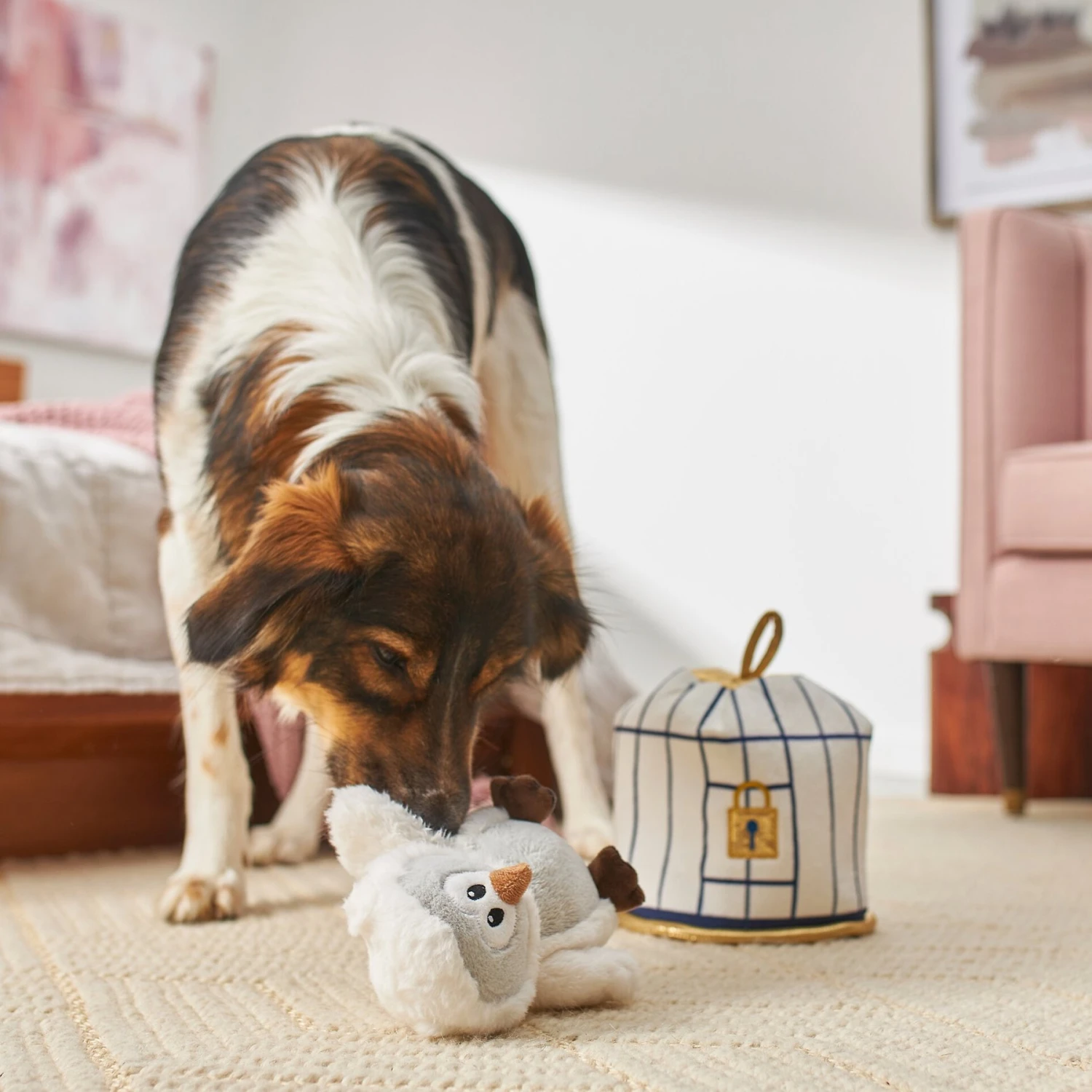 Frisco Magic Owl & Cage 2-in-1 Plush Squeaky Dog Toy 4 Frisco Magic Owl & Cage 2-in-1 Plush Squeaky Dog Toy - Image 4