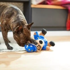 Frisco Magic Wizard Bear Plush Squeaky Dog Toy 5 Frisco Magic Wizard Bear Plush Squeaky Dog Toy -Frisco 265604 PT3. AC SS1800 V1623352109