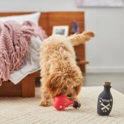 Frisco Magic Potions Latex Squeaky Dog Toy, 2 Count 5 Frisco Magic Potions Latex Squeaky Dog Toy, 2 Count -Frisco 265632 PT3. AC SS1800 V1620939021