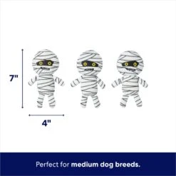 Frisco Halloween Mummy & Coffin Hide & Seek Puzzle Plush Squeaky Dog Toy -Frisco 270365 PT2. AC SS1800 V1689872932