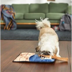 Frisco Camping Smores & Sleeping Bag Flat Plush Squeaky Dog Toy, 2 Count -Frisco 271018 PT3. AC SS1800 V1625009010