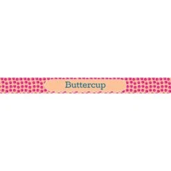 Frisco General Pet Ceramic Personalized Dog & Cat Bowl -Frisco 278922 PT2. AC SS1800 V1629147272