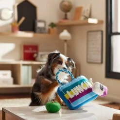 Frisco Back To School Lunchbox With Juice & Apple Plush With Rope Squeaky Dog Toy -Frisco 279427 PT3. AC SS1800 V1628191372