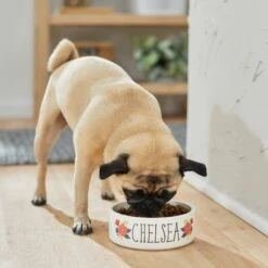 Frisco Flower Ceramic Personalized Dog Bowl 9 Frisco Flower Ceramic Personalized Dog Bowl -Frisco 286985 PT2. AC SS1800 V1625764713