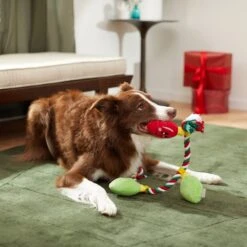Frisco Holiday Lights Plush With Rope Squeaky Dog Toy -Frisco 287109 PT3. AC SS1800 V1632775707