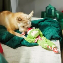 Frisco Holiday Monkey Plush With Rope Squeaky Dog Toy 9 Frisco Holiday Monkey Plush With Rope Squeaky Dog Toy -Frisco 287115 PT3. AC SS1800 V1632774182