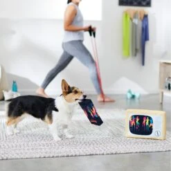 Frisco TV & VHS Tape Plush Squeaky Dog Toy, 2 Count 5 Frisco TV & VHS Tape Plush Squeaky Dog Toy, 2 Count -Frisco 288935 PT3. AC SS1800 V1638291435