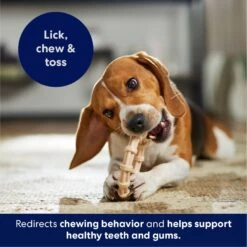 Frisco Ring Tough Nylon Chew Dog Toy, Chicken Flavor -Frisco 290533 PT4. AC SS1800 V1695760990