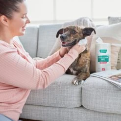 Frisco Gentle Cleaning Waterless Grooming Wipes For Puppies & Kittens, Green Tea Scent -Frisco 291592 PT4. AC SS1800 V1627306695
