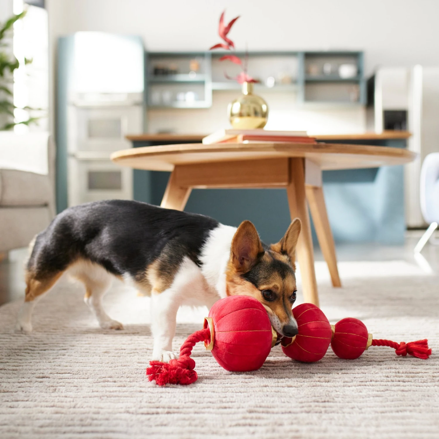 Frisco Lunar New Year Lantern Plush With Rope Squeaky Dog Toy 3 Frisco Lunar New Year Lantern Plush With Rope Squeaky Dog Toy - Image 3
