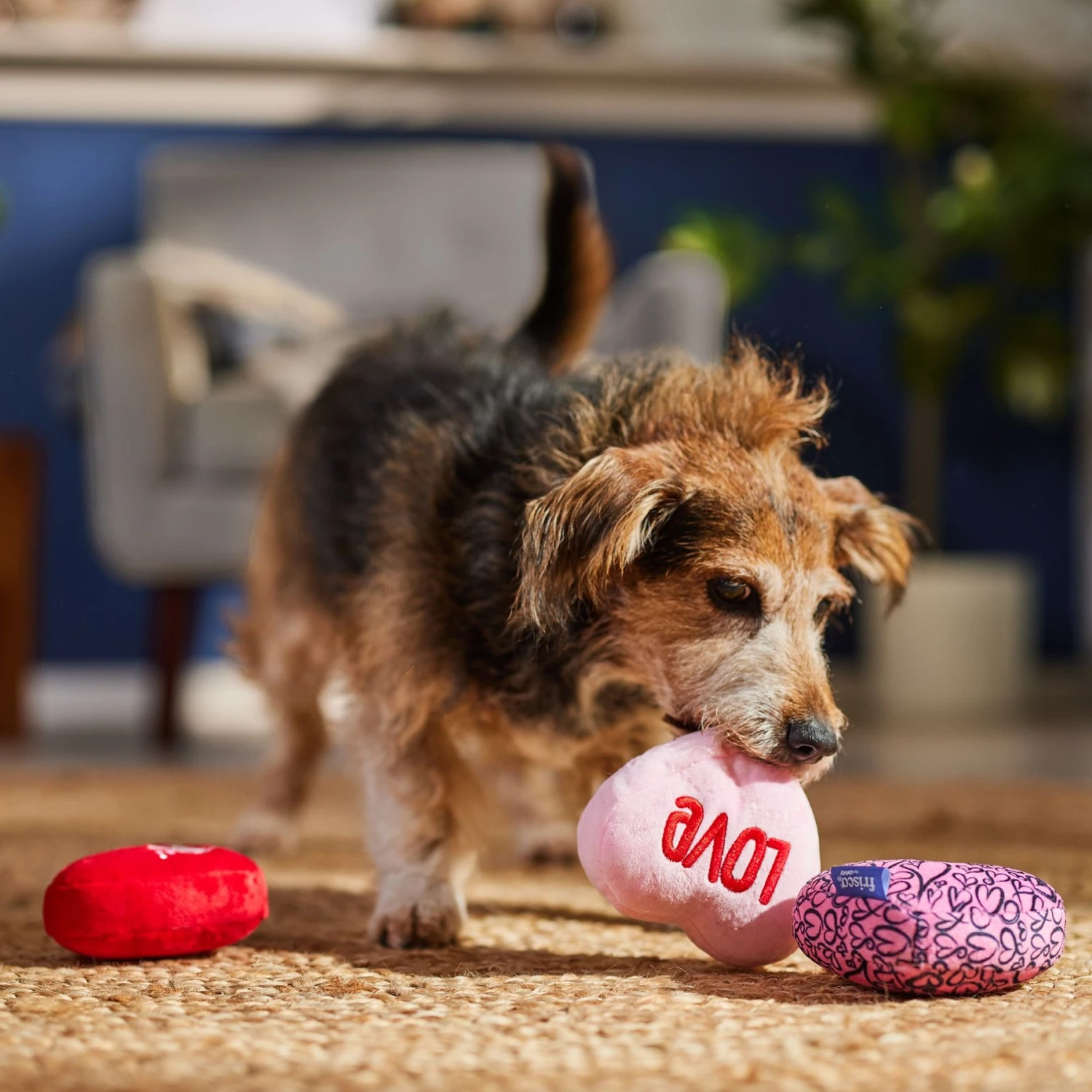 Frisco Valentine Hearts Plush Squeaky Dog Toy 3 Frisco Valentine Hearts Plush Squeaky Dog Toy - Image 3
