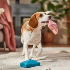 Frisco Valentine Love Letters Latex Squeaky Dog Toy 6 Frisco Valentine Love Letters Latex Squeaky Dog Toy -Frisco 298925 PT3. AC SS1800 V1701365173