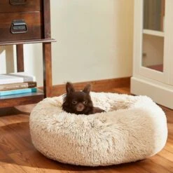 Frisco Eyelash Cat & Dog Bolster Bed & Frisco Eyelash Cat & Dog Bolster Bed 13 Frisco Eyelash Cat & Dog Bolster Bed & Frisco Eyelash Cat & Dog Bolster Bed -Frisco 302450 PT4. AC SS1800 V1623046356