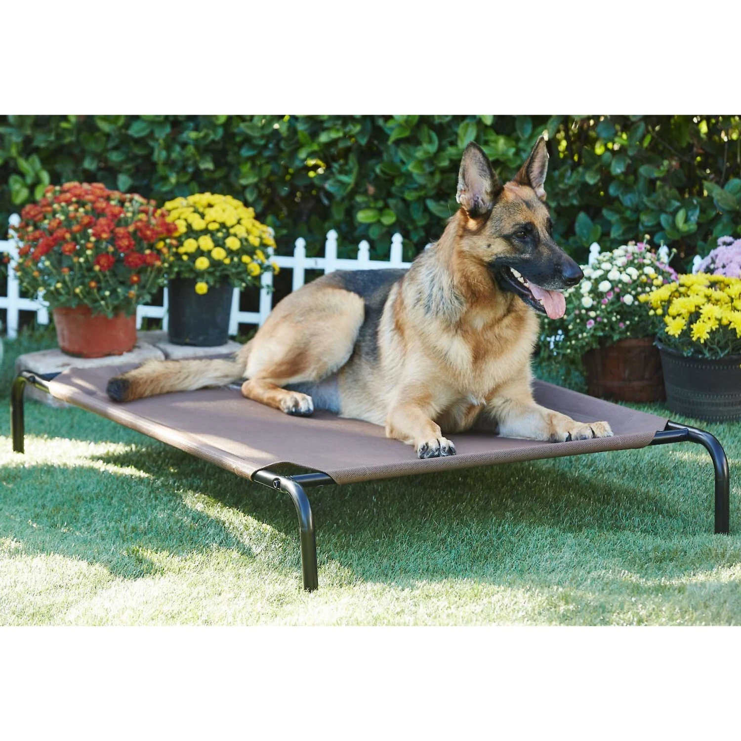 Frisco Replacement Cover For Steel-Framed Elevated Dog Bed & Frisco Steel-Framed Elevated Dog Bed 6 Frisco Replacement Cover For Steel-Framed Elevated Dog Bed & Frisco Steel-Framed Elevated Dog Bed - Image 6