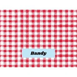 Frisco Personalized Gingham Plaid Soft Fleece Cat & Dog Blanket, 30" X 40" -Frisco 304001 PT4. AC SS1800 V1637609279