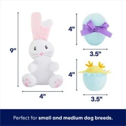 Frisco Easter Basket Hide & Seek Puzzle Plush Squeaky Dog Toy 8 Frisco Easter Basket Hide & Seek Puzzle Plush Squeaky Dog Toy -Frisco 304982 PT2. AC SS1800 V1702665735