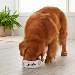 Frisco Personalized Rustic Ceramic Dog Bowl, 4.75-cup, 38oz -Frisco 306764 PT4. AC SS1800 V1639518092