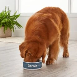 Frisco Personalized Heathered Ceramic Dog Bowl, 4.75-cup, 38oz -Frisco 306767 PT4. AC SS1800 V1639518089