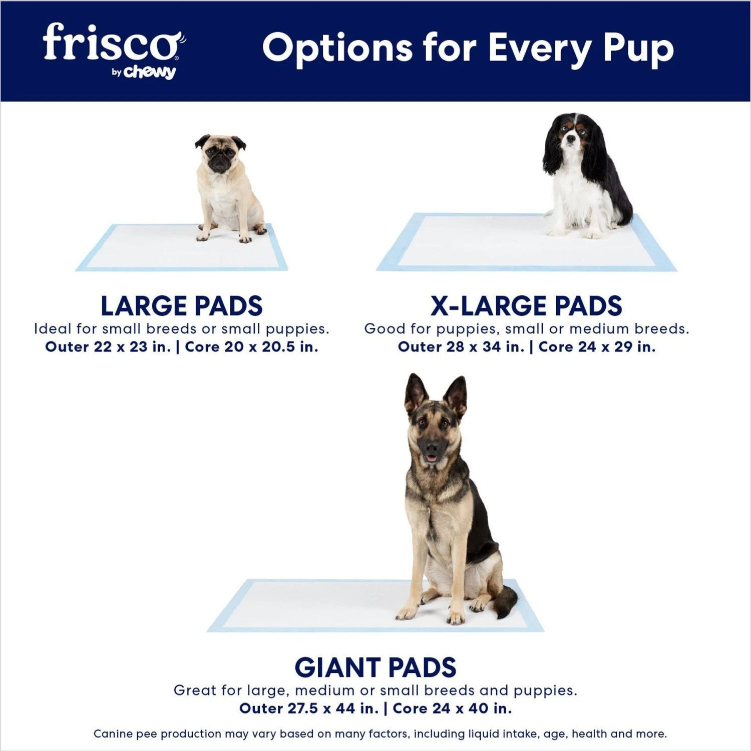 Frisco Extra Large Eco-Conscious Dog Training & Potty Pads 4 Frisco Extra Large Eco-Conscious Dog Training & Potty Pads - Image 4