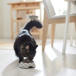 Frisco Moroccan Design Stainless Steel Dog & Cat Bowl -Frisco 311963 PT3. AC SS1800 V1642542386