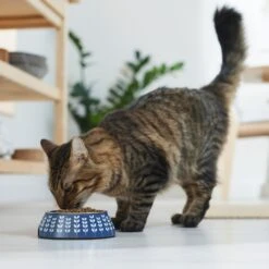 Frisco Leaf Design Stainless Steel Dog & Cat Bowl -Frisco 311980 PT3. AC SS1800 V1642542556