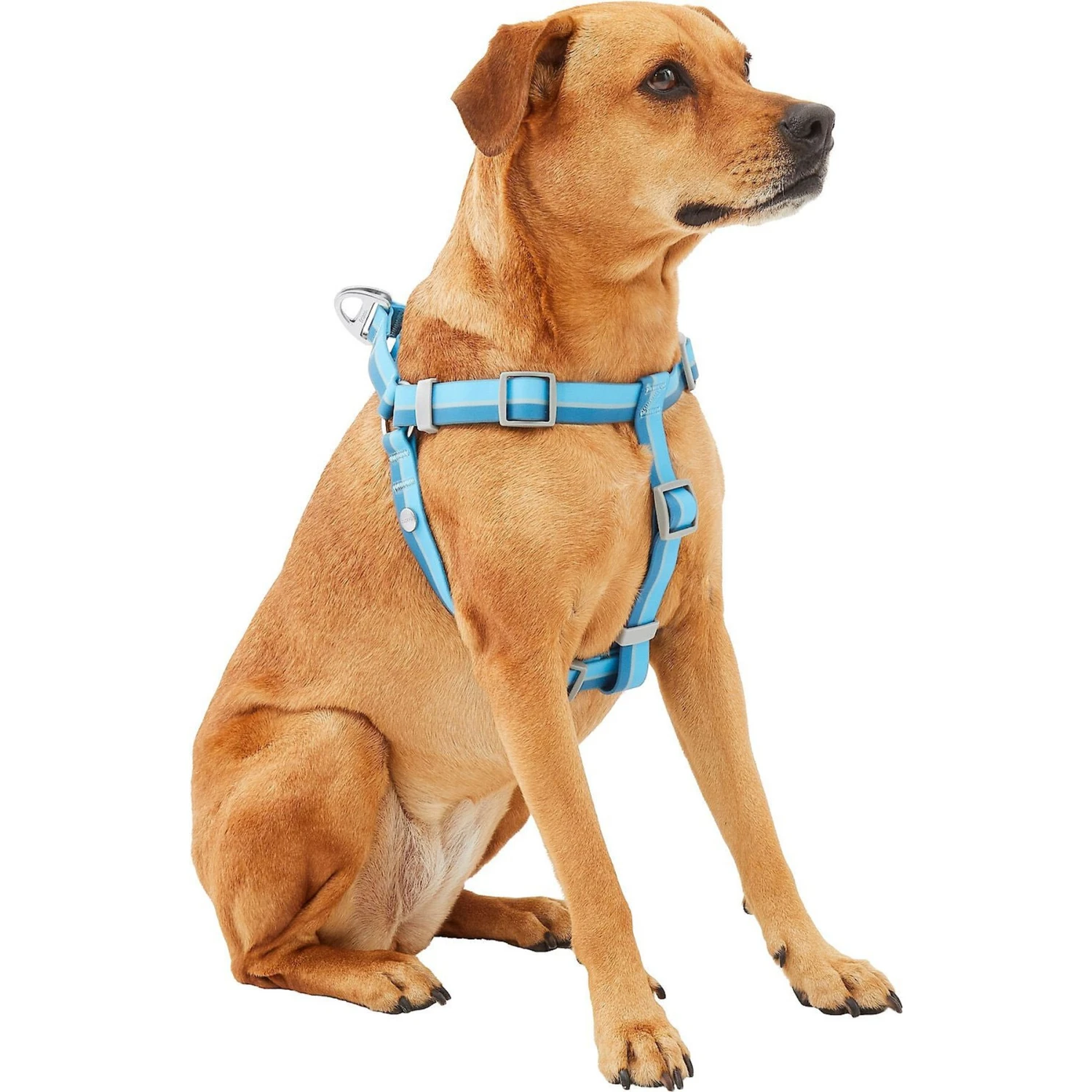 Frisco Outdoor Two Tone Waterproof Stinkproof PVC Dog Harness & Frisco Outdoor Two Tone Waterproof Stinkproof PVC Dog Harness 3 Frisco Outdoor Two Tone Waterproof Stinkproof PVC Dog Harness & Frisco Outdoor Two Tone Waterproof Stinkproof PVC Dog Harness - Image 3