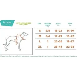 Frisco Outdoor Two Tone Waterproof Stinkproof PVC Dog Harness & Frisco Outdoor Two Tone Waterproof Stinkproof PVC Dog Harness 10 Frisco Outdoor Two Tone Waterproof Stinkproof PVC Dog Harness & Frisco Outdoor Two Tone Waterproof Stinkproof PVC Dog Harness -Frisco 319396 PT4. AC SS1800 V1630617094