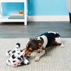 Frisco Cow Plush Squeaky Dog Toy & Playology Scented Dual Layer Ring Dog Toy -Frisco 319488 PT3. AC SS1800 V1630626696