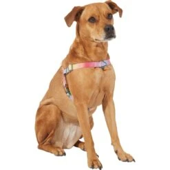 Frisco Pink Ombre Style Dog Harness -Frisco 324537 PT2. AC SS1800 V1642519336