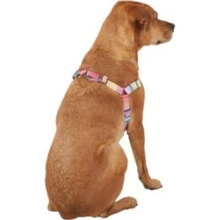 Frisco Pink Ombre Style Dog Harness -Frisco 324537 PT3. AC SS1800 V1642519146