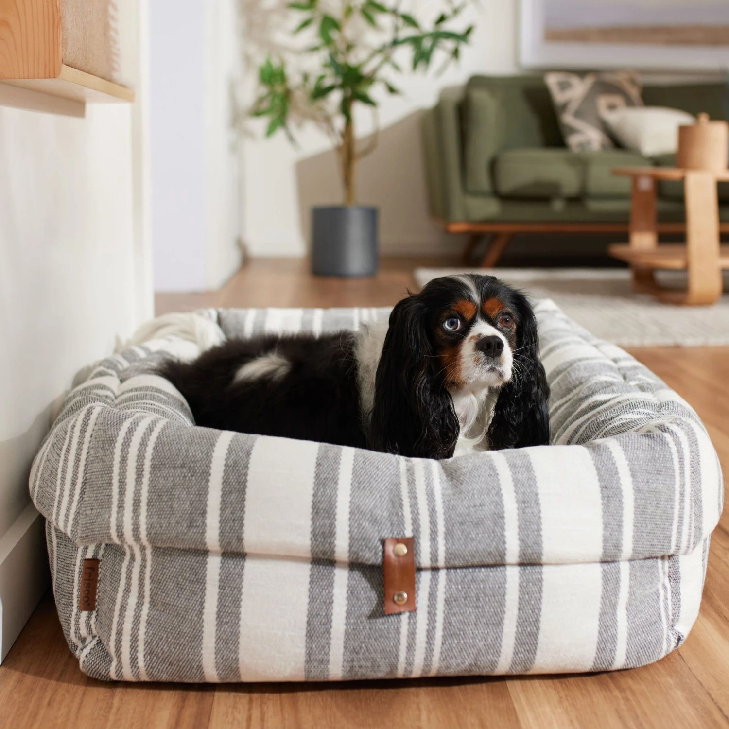 Frisco Farmhouse Deep Cuffed Cuddler Dog Bed 1 Frisco Farmhouse Deep Cuffed Cuddler Dog Bed