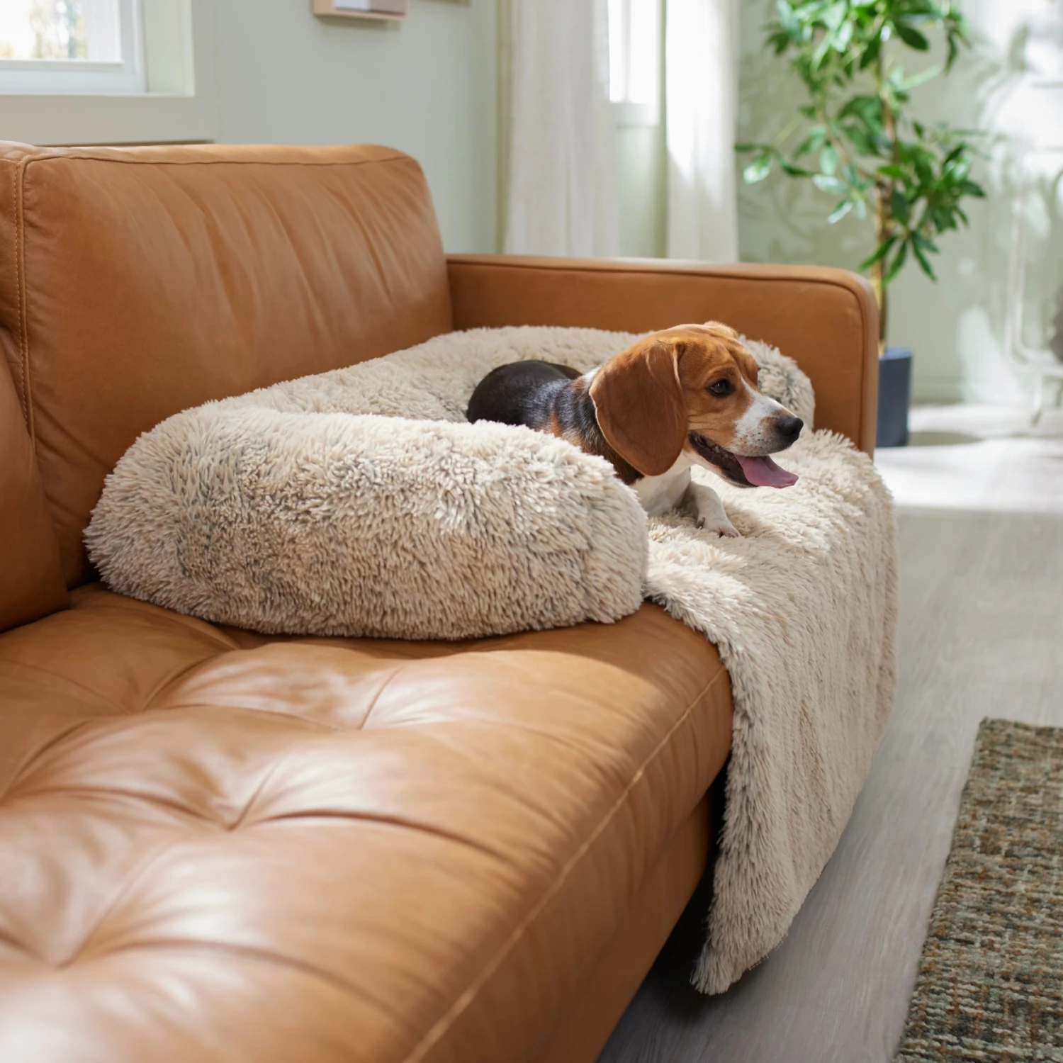 Frisco Dog & Cat Couch Cover With Bolsters 1 Frisco Dog & Cat Couch Cover With Bolsters