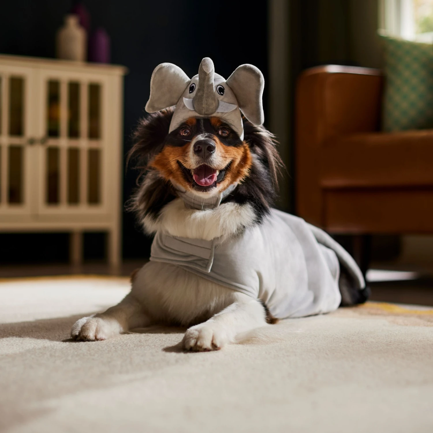 Frisco Elephant Dog & Cat Costume 6 Frisco Elephant Dog & Cat Costume - Image 6