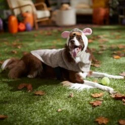 Frisco Hedgehog Dog & Cat Costume 12 Frisco Hedgehog Dog & Cat Costume -Frisco 334990 PT7. AC SS1800 V1657732628