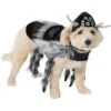 Frisco Spider Dog & Cat Costume