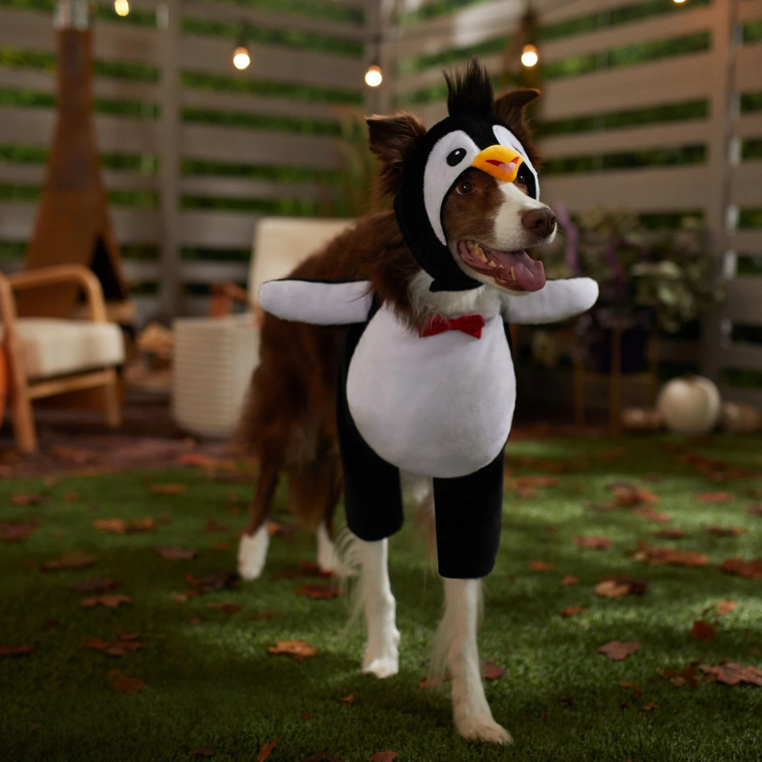 Frisco Front Walking Penguin Dog & Cat Costume 7 Frisco Front Walking Penguin Dog & Cat Costume - Image 7