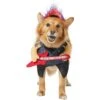 Frisco Front Walking Punk Rocker Dog & Cat Costume