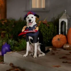 Frisco Front Walking Punk Rocker Dog & Cat Costume -Frisco 335087 PT7. AC SS1800 V1657732627