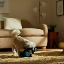 Frisco Halloween Lantern Ballistic Nylon Plush Squeaky Dog Toy -Frisco 344138 PT3. AC SS1800 V1657657042