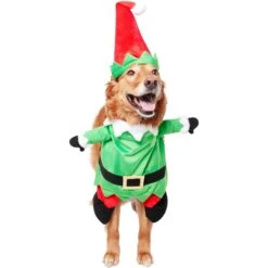 Frisco Front Walking Elf Dog & Cat Costume -Frisco 357956 PT3. AC SS1800 V1660760416
