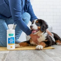 FURminator Long Hair Dog Deshedding Tool & Frisco Shed Reducing Waterless Grooming Wipes For Dogs & Cats, 50 Count -Frisco 575134 PT6. AC SS1800 V1657660396